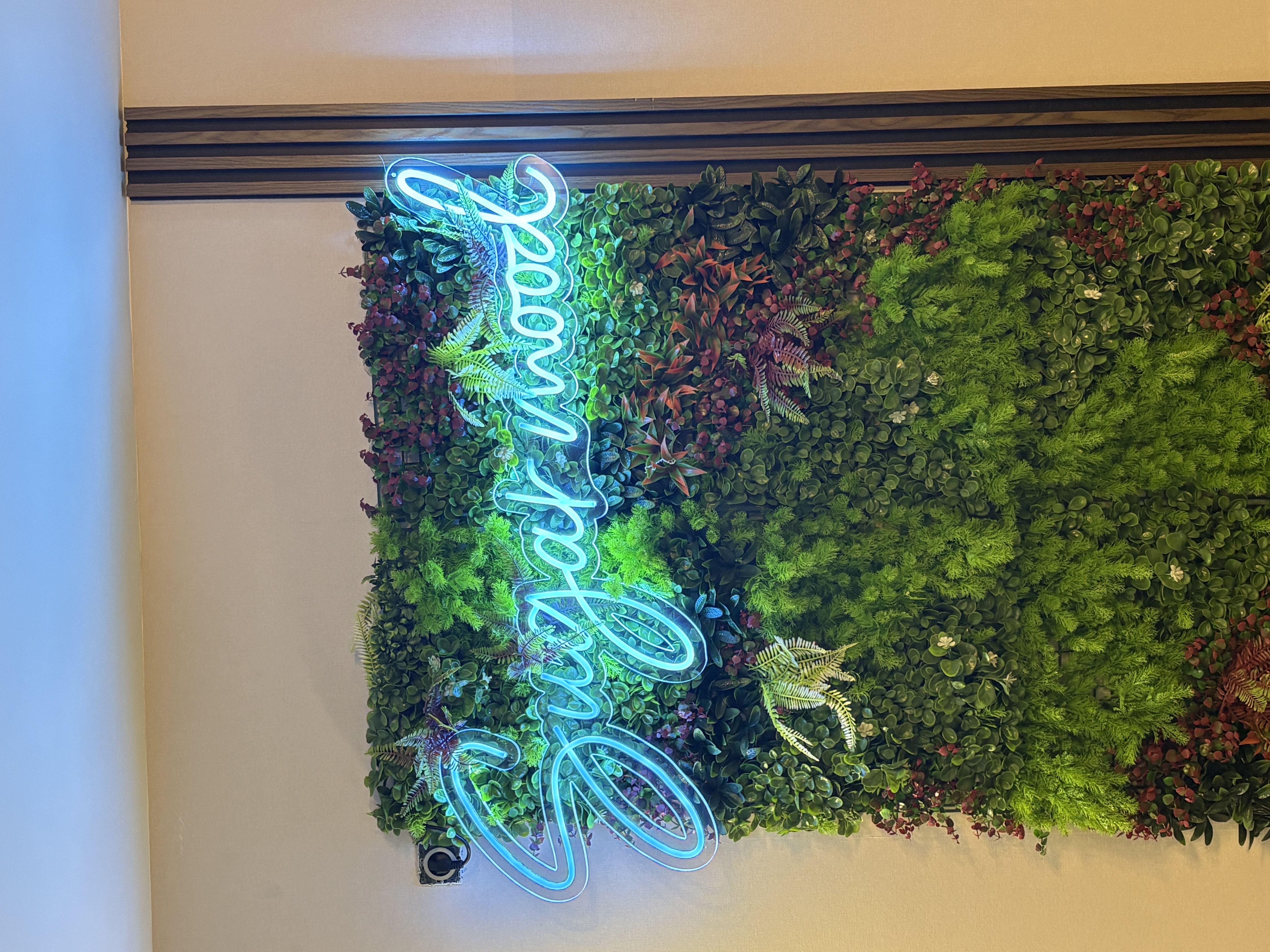 Néon led sur mesure